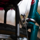 Image for article titled I Bought A $220 Bike To Do A $1,600 Bike's Job And Everything About It Is Making Me Lose My Mind
